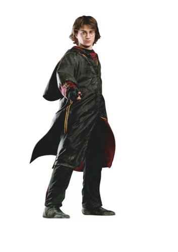 Harry-Poter.jpg