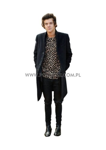Harry Styles Pappaufsteller Lebensgroße und Pappfiguren