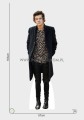 Harry Styles Pappaufsteller Lebensgroße und Pappfiguren