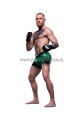 Conor McGregor Pappaufsteller Lebensgroße und Pappfiguren