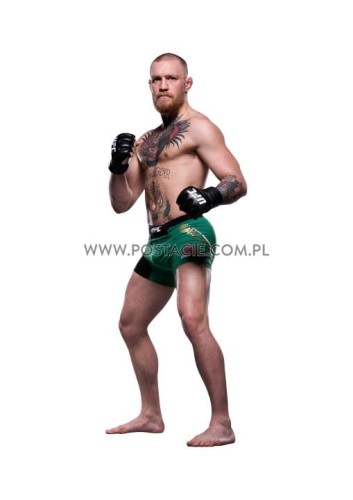 Conor McGregor Pappaufsteller Lebensgroße und Pappfiguren