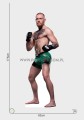 Conor McGregor Pappaufsteller Lebensgroße und Pappfiguren
