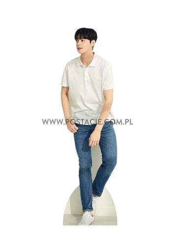 Cha Eun-woo Pappaufsteller Lebensgroße und Pappfiguren