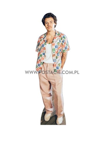 Harry Styles