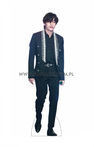 V BTS Pappaufsteller Lebensgroße und Pappfiguren