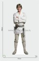 Luke Skywalker Pappaufsteller Lebensgroße und Pappfiguren
