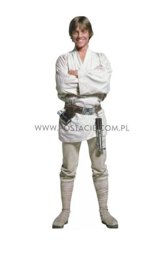 Luke Skywalker Pappaufsteller Lebensgroße und Pappfiguren