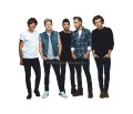 One Direction Pappaufsteller Lebensgroße und Pappfiguren