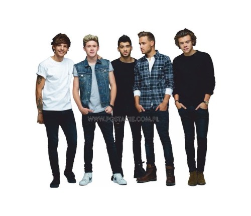 One Direction Pappaufsteller Lebensgroße und Pappfiguren