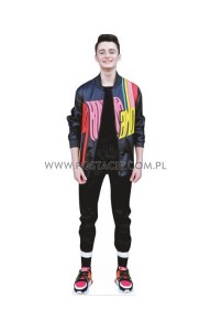 Noah Schnapp (2)