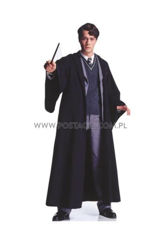 Tom Riddle Pappaufsteller Lebensgroße und Pappfiguren