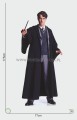 Tom Riddle Pappaufsteller Lebensgroße und Pappfiguren