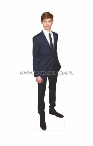 Thomas Brodie Sangster Pappaufsteller Lebensgroße und Pappfiguren