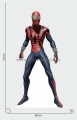 Spiderman (2) Pappaufsteller Lebensgroße und Pappfiguren