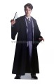 Tom Riddle Pappaufsteller Lebensgroße und Pappfiguren