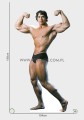 Arnold Schwarzenegger Pappaufsteller Lebensgroße und Pappfiguren