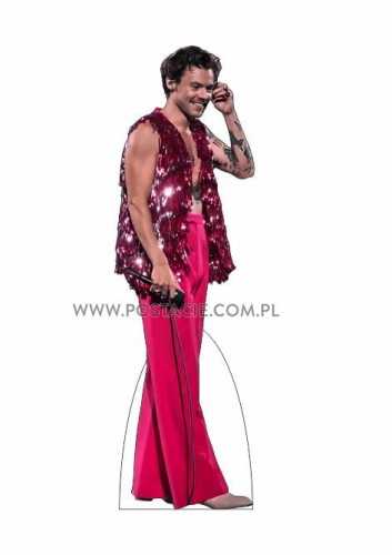 Harry Styles (7) Pappaufsteller Lebensgroße und Pappfiguren