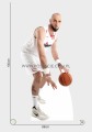 Marcin Gortat Pappaufsteller Lebensgroße und Pappfiguren