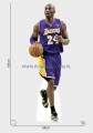 Kobe Bryant (2) Pappaufsteller Lebensgroße und Pappfiguren