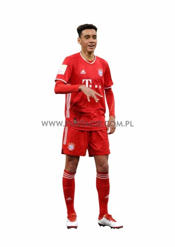 Jamal Musiala Pappaufsteller Lebensgroße und Pappfiguren