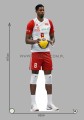 Wilfredo Leon z kartonu sklep internetowy