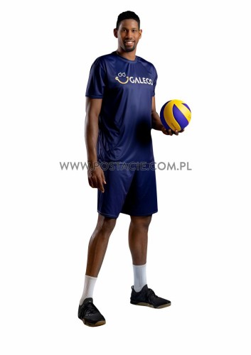 Wilfredo Leon (2) z kartonu sklep internetowy