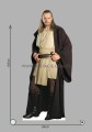 Qui-Gon_Jinn a.jpg
