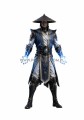 Raiden b.jpg
