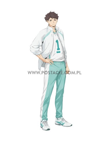 Oikawa1.jpg