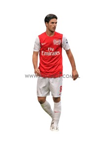 Mikel Arteta