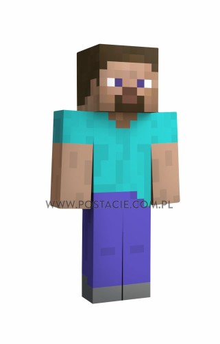 Steve 01 a.jpg