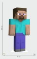 Steve 01 b.jpg