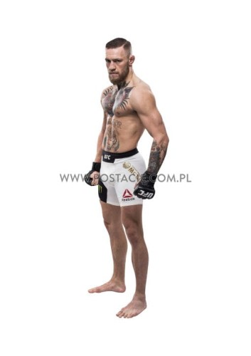 Conor McGregor Pappaufsteller Lebensgroße und Pappfiguren