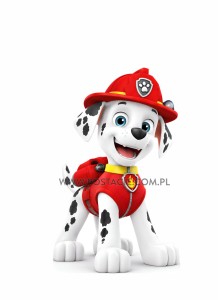  Paw Patrol (Marshall)