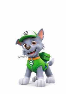  Paw Patrol (Rocky)